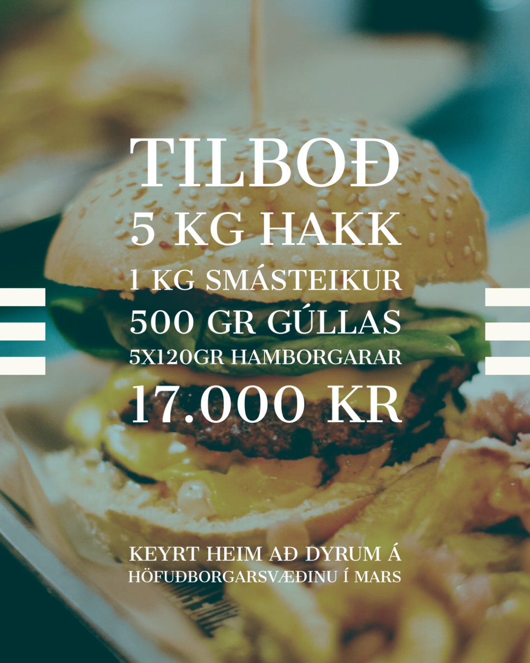Tilboðspakki til Reykjavíkur 18.apríl, fjölbreyttur pakki